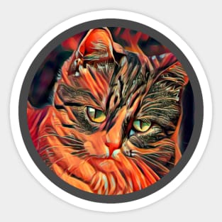 Bright-Eyed floppy cat Sticker